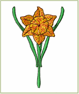 Daffodil Embroidery Design