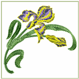 Small Iris Embroidery Design