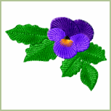 Pansy Embroidery Design
